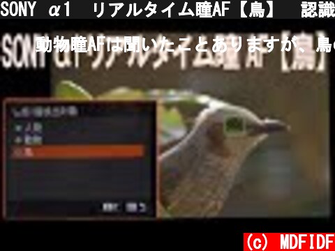 SONY α1  リアルタイム瞳AF【鳥】　認識の様子  (c) MDFIDF